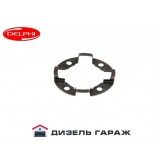 7185-978 DELPHI Удерживающая пластина роликов топливного насоса 